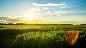 Una razón para confiar – Reflexión para cada día