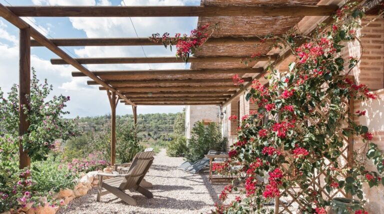Airbnb destaca el impacto del oleoturismo en zonas rurales de España