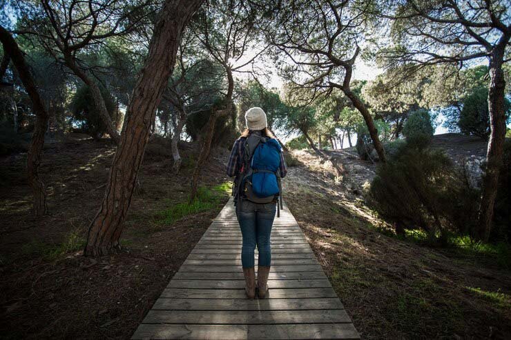 Aprende a vivir la experiencia más completa del Camino de Santiago