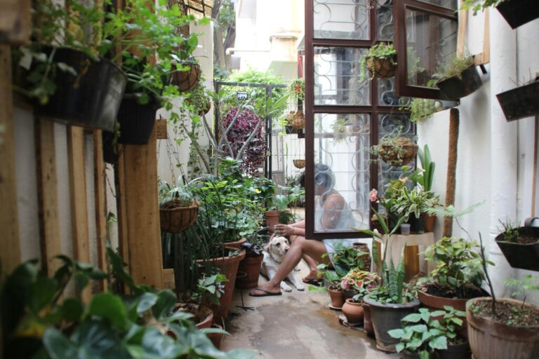 Las plantas se han convertido en las nuevas mascotas. Tanto que hasta las enterramos en el jardín cuando mueren