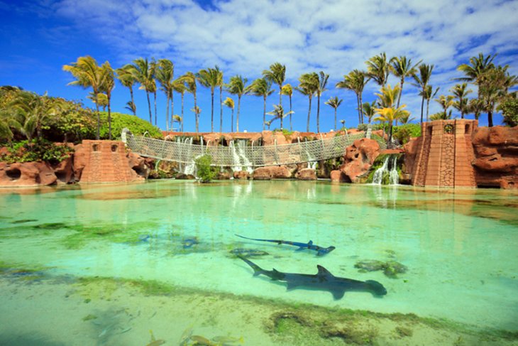 Lugares para visitar en las Bahamas: Enamórate del Caribe