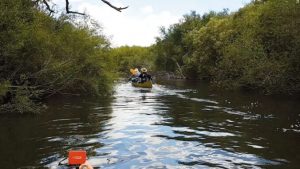 ¡Desafío único para kayakistas en los Montes del Queguay!