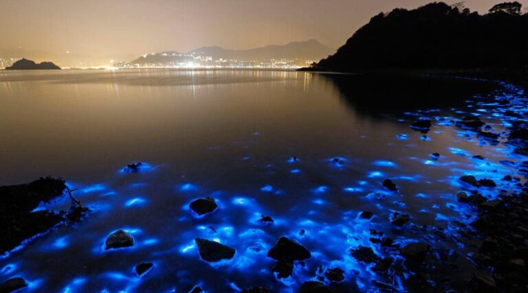 Chacala, Nayarit: la bahía secreta que brilla por la noche