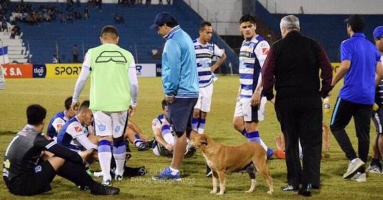 ¿Copa Libertadores? ¡Que se lo dediquen a Tesapara!