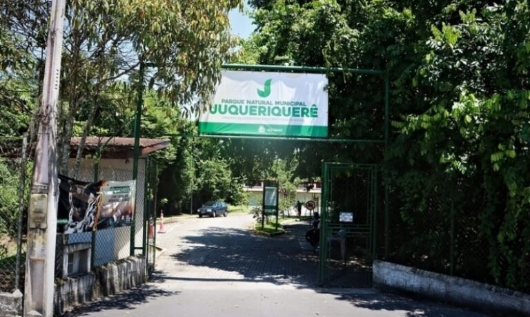 El Parque Natural Juqueriquerê recibe la 2ª Muestra Mercosur Audiovisual a partir del domingo