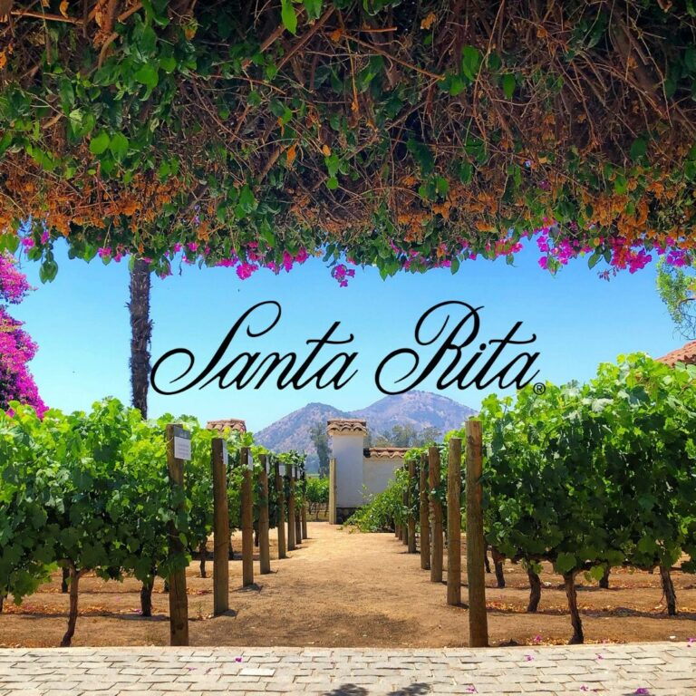 Forbes nombra a Santa Rita la mejor bodega del mundo
