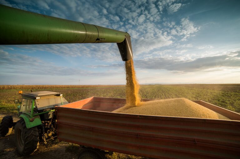 El déficit comercial de Paraguay alcanzó los 791,1 millones de dólares en octubre