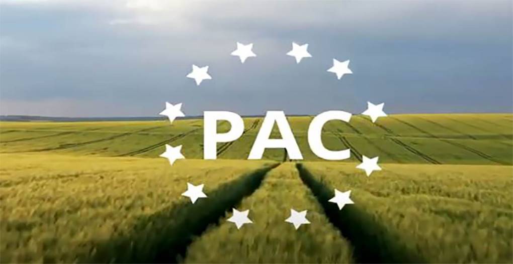 El futuro del campo europeo: PAC, Mercosur e India en la agenda de la UE El futuro del campo europeo: PAC, Mercosur e India en la agenda de la UE