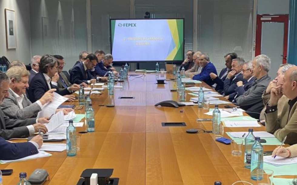 FEPEX advierte sobre la «renacionalización» de la PAC y los efectos desiguales de acuerdos con Marruecos y Mercosur