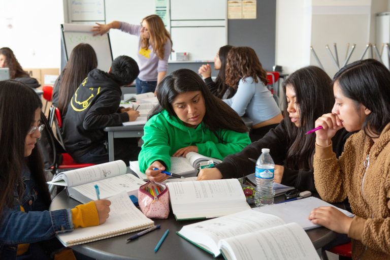 Educación en el Mercosur: reformas, innovación y desafíos para las nuevas generaciones