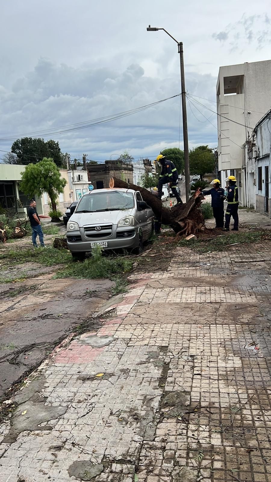 Un fuerte temporal provocó caída de árboles y voladura de techos en distintos puntos de la ciudad