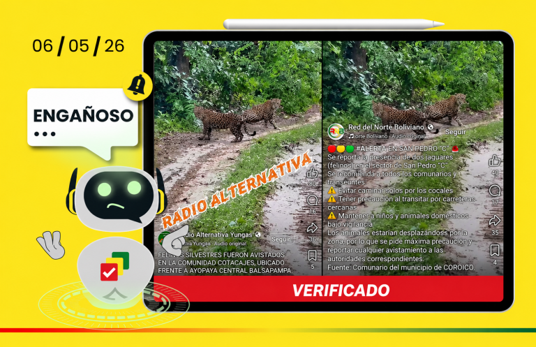 Engañoso: Video viral de jaguares no corresponde a Coroico