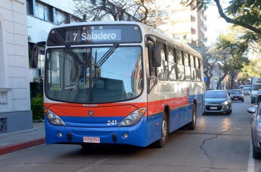 Salto tendrá servicio de ómnibus gratuito para mujeres durante el Día de la Madre Salto tendrá servicio de ómnibus gratuito para mujeres durante el Día de la Madre