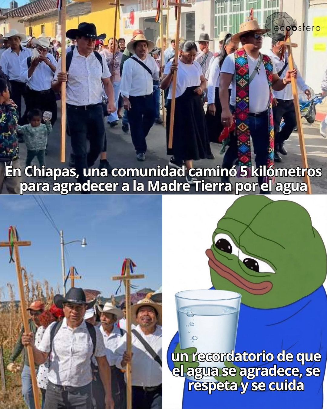 400 personas caminaron 5 km en Chiapas para pedir agua a la Madre Tierra 400 personas caminaron 5 km en Chiapas para pedir agua a la Madre Tierra