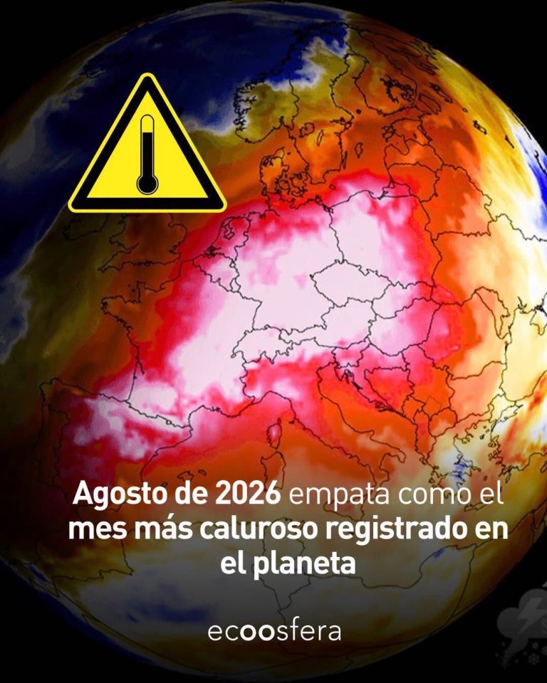 Agosto 2026 igualó al mes más caliente en la historia del planeta