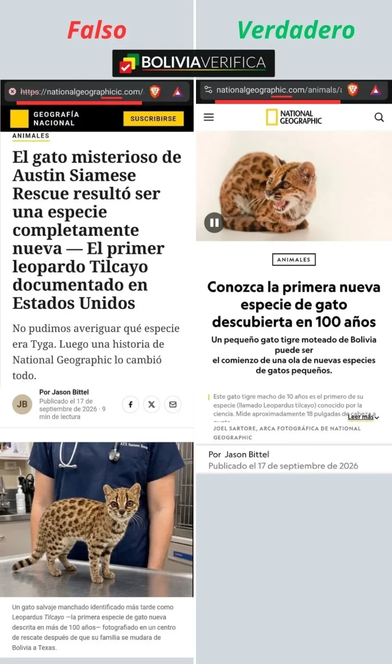 ¡Alerta de estafa!: Usan IA, una historia falsa sobre un tilcayo en EEUU y una web que suplanta a NatGeo para promocionar un activo digital