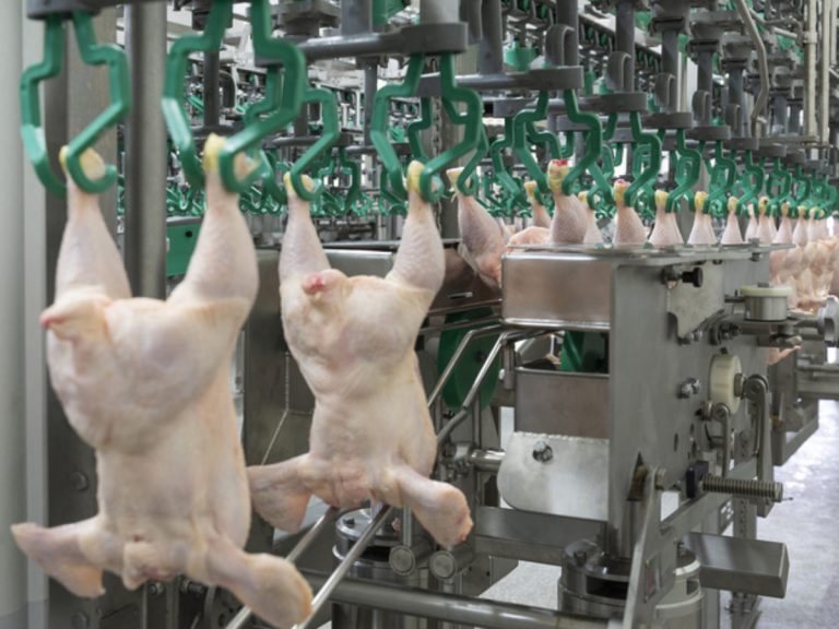 Argentina logró la reapertura del mercado de Japón para carne aviar y ovoproductos