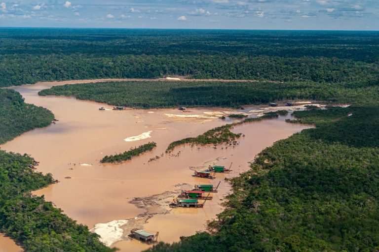 Bolivia — Operação internacional contra crimes ambientais na Amazônia deixa centenas de presos