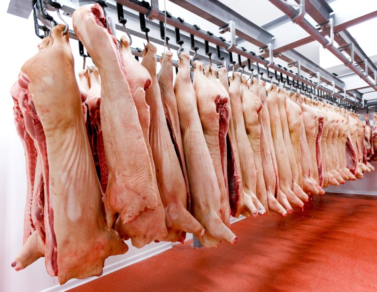 Carne porcina: crece la producción, pero ¿qué pasa con el precio?