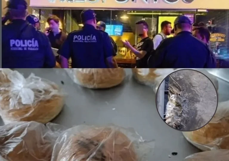 Clausuran por 72 horas restaurante en Olegario Villalobos por presencia de roedores y fallas permisivas