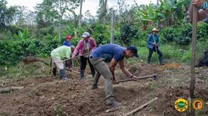 Colombia — El derecho a ser campesino