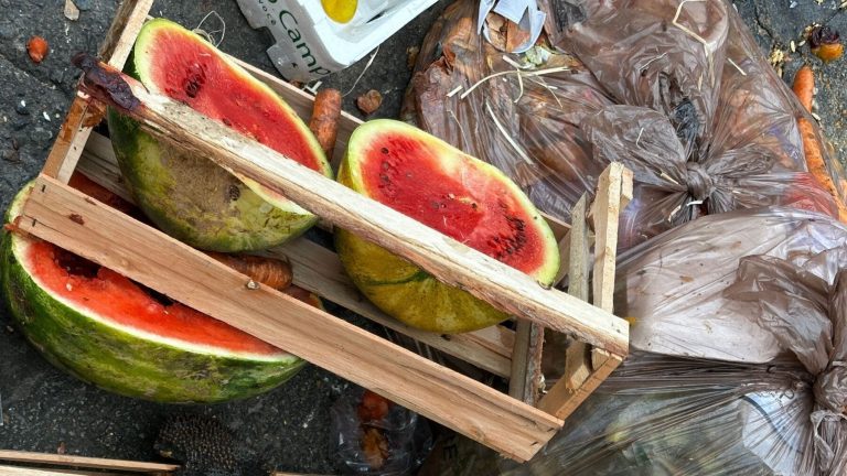 Día Internacional de Concienciación sobre la Pérdida y el Desperdicio de Alimentos 2026: el reto global para dejar de tirar comida