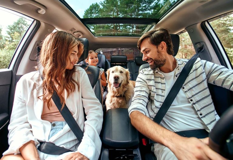 ¿Dónde ir de vacaciones con perros? 10 destinos para viajar con mascota dentro y fuera de España