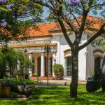 El Museo Saavedra abre sus jardines para recibir la primavera