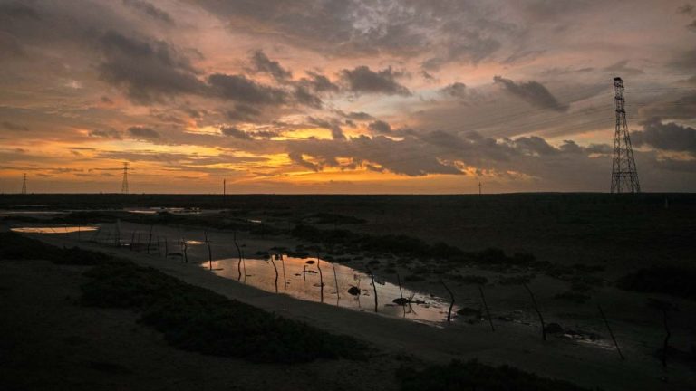 El Niño alcanzará su pico en diciembre: NOAA prevé temperaturas oceánicas de hasta 2,7 °C, superando récords históricos