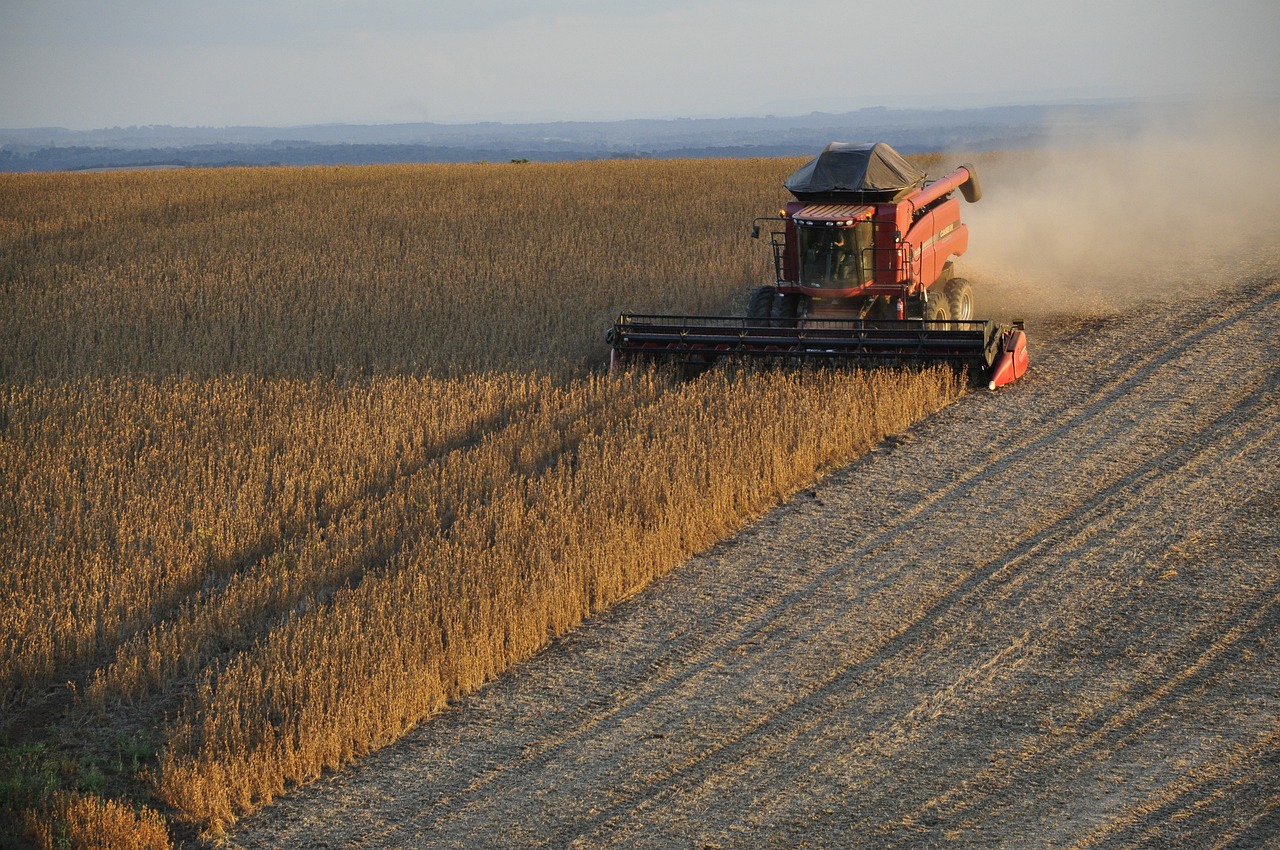 El Niño se intensificará en la región, pero Capeco descarta un escenario destructivo El Niño se intensificará en la región, pero Capeco descarta un escenario destructivo