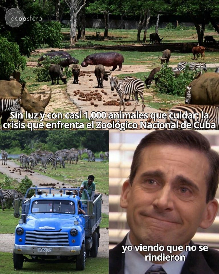 El zoológico de Cuba lleva semanas sin luz y sus trabajadores no han abandonado a los animales