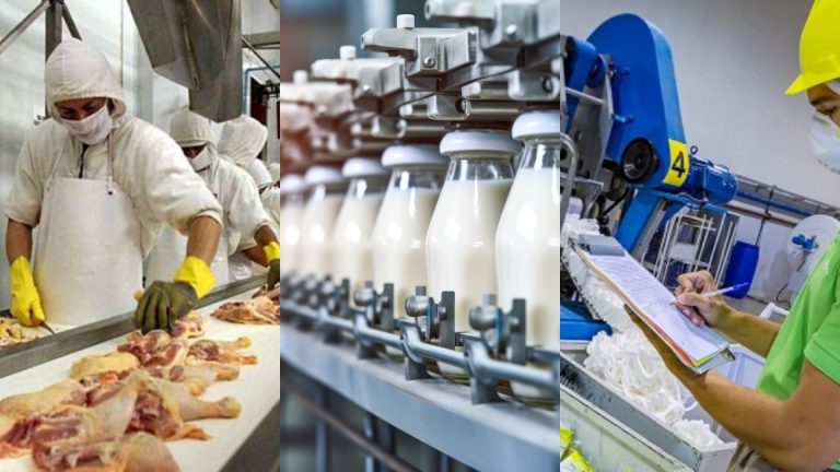 Entre la venta, el concurso y el cierre: qué puede pasar con tres grandes empresas al borde de la quiebra