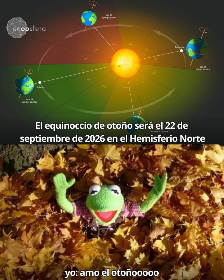 Equinoccio de otoño 2026: fecha, hora exacta y qué pasa ese día