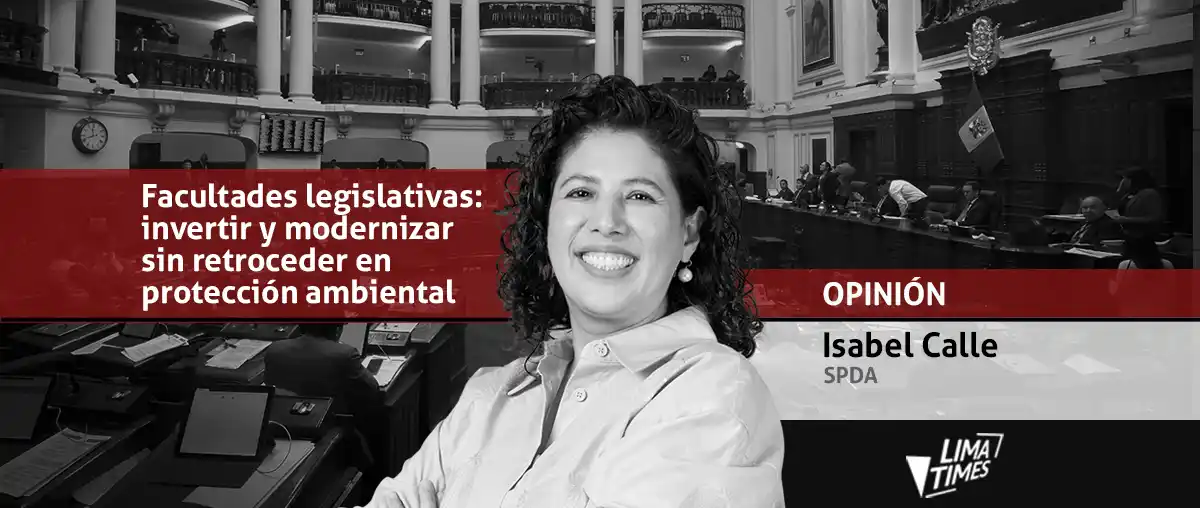 Facultades legislativas: invertir y modernizar sin retroceder en protección ambiental