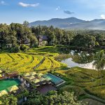 Four Seasons lanza nuevos itinerarios seleccionados por Japón, Tailandia y Hawái