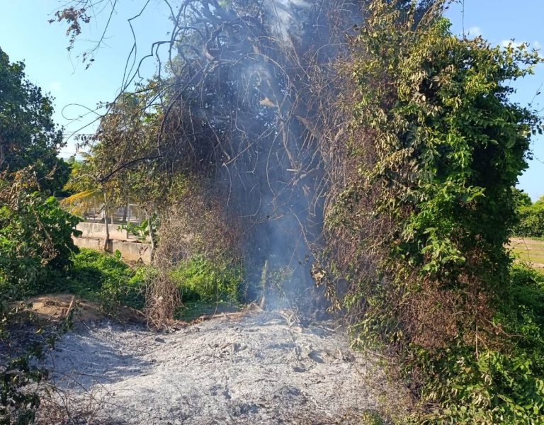 Fuego en El Hatico: bomberos de Fonseca, La Guajira, evitan incendio forestal