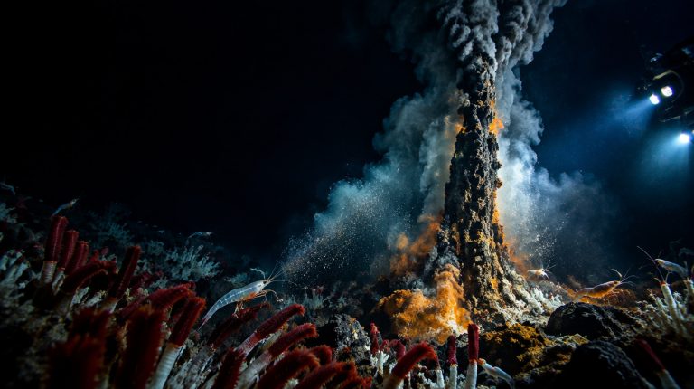 Fuentes hidrotermales: el misterioso mundo que vive sin luz solar