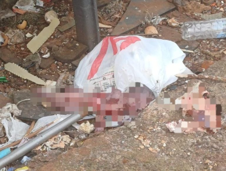 Hallan feto en un basural de Ciudad del Este