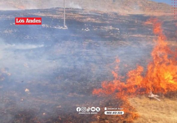Incendio forestal afecta 10 hectáreas de pastos naturales en Pusi