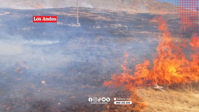 Incendio forestal afecta 10 hectáreas de pastos naturales en Pusi