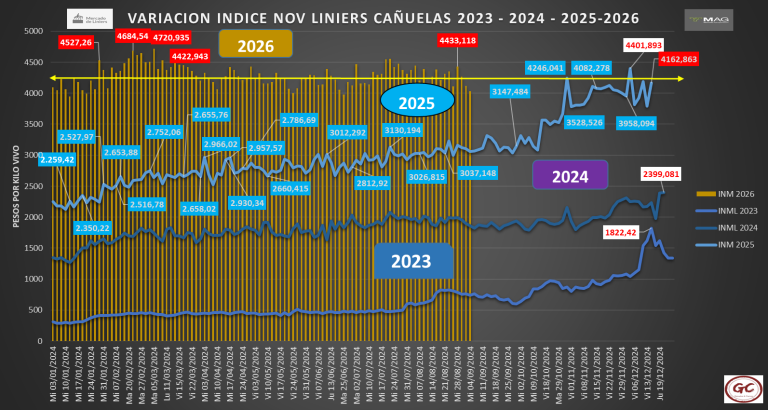 Informe de precios ganaderos 2-9-2026: «Todos desconcertados»