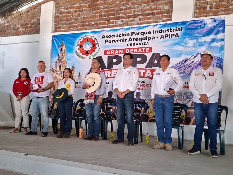 Inversión, tecnología y créditos al 4 %: propuesta financiera para industrializar Apipa