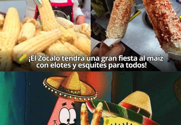 La Gran Elotiza Nacional llega al Zócalo y así vas a celebrar al maíz