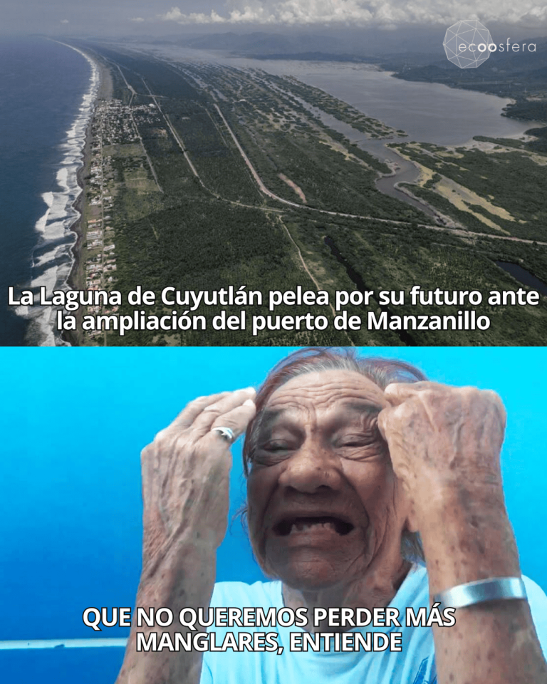La Laguna de Cuyutlán pelea contra el Puerto de Manzanillo por su vida
