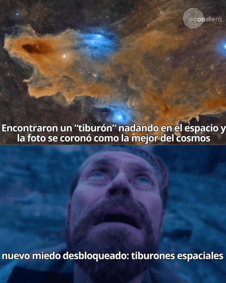 La Nebulosa del Tiburón: el depredador que acecha a 650 años luz