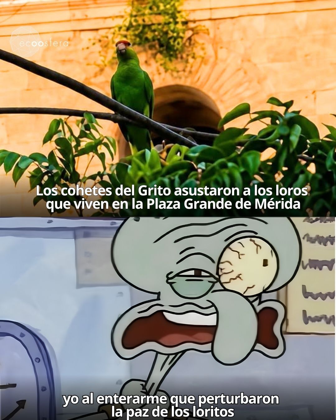La pirotecnia del Grito saca a los loros de la Plaza Grande de Mérida La pirotecnia del Grito saca a los loros de la Plaza Grande de Mérida