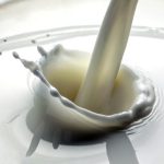 La producción y el consumo de leche crecieron por arriba del 4% en los primeros 8 meses del 2026
