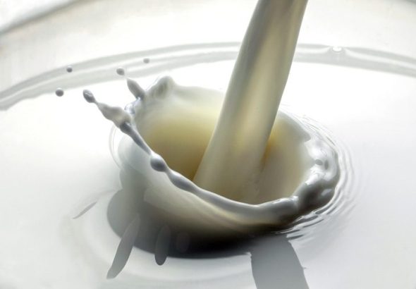 La producción y el consumo de leche crecieron por arriba del 4% en los primeros 8 meses del 2026