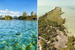 Leonardo DiCaprio compró una isla en US millones: “El objetivo principal es hacer algo que cambie el mundo”