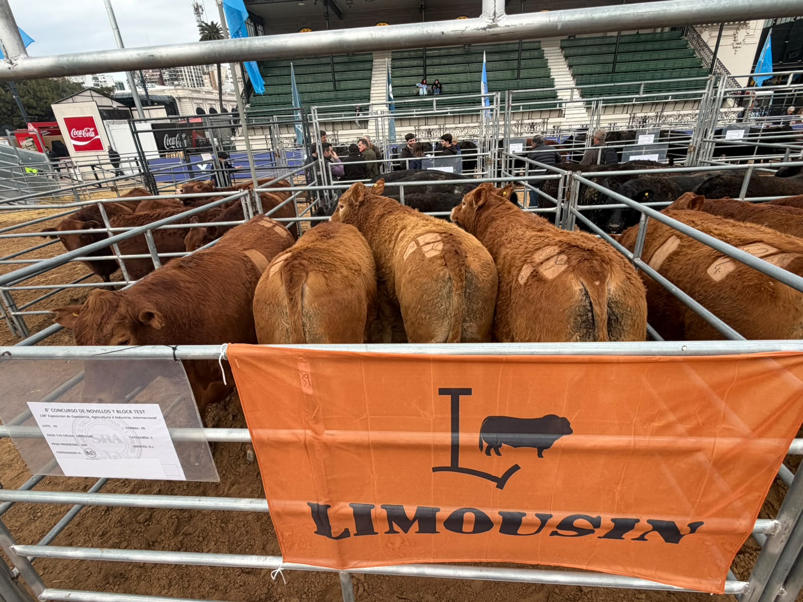 Limousin Argentina obtuvo la medalla de plata en la 2ª edición del Campeonato Mundial de la Carne Limousin Argentina obtuvo la medalla de plata en la 2ª edición del Campeonato Mundial de la Carne